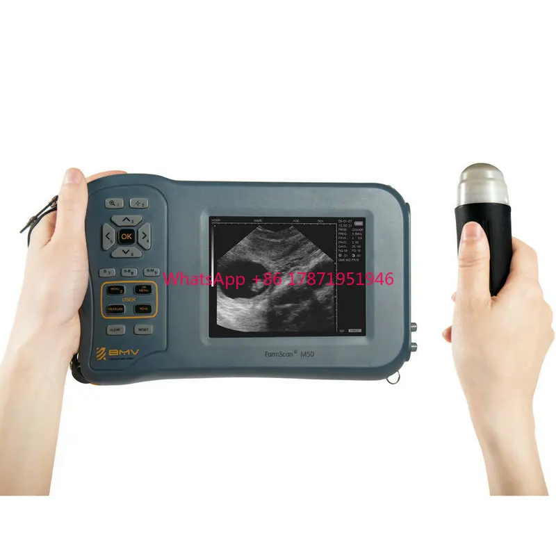 Ультразвуковой аппарат для овцы ecografo bmv farmscan m50 l60 ultrasonido portatil ветеринарный
