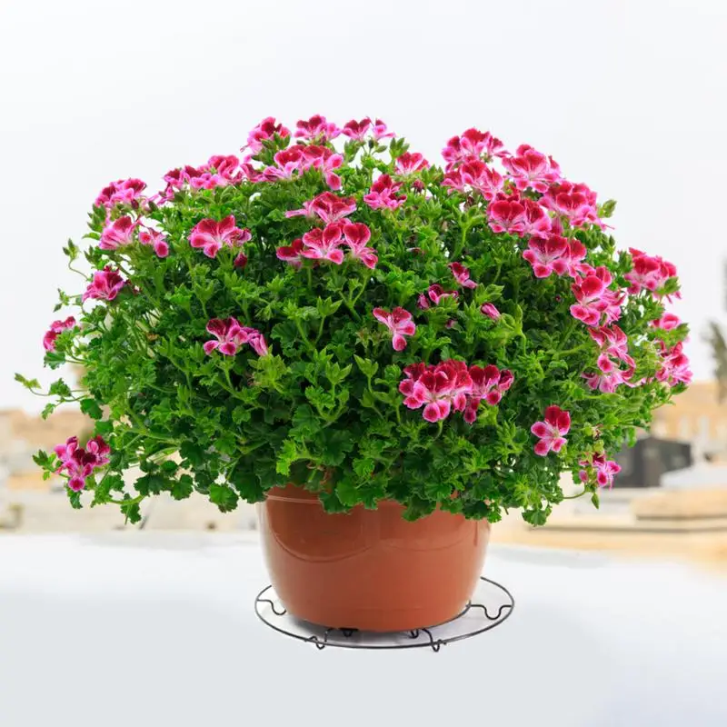 

Подставка для цветочного горшка, черная металлическая круглая подставка для цветочных горшков, стеллаж для растений, нержавеющий Железный ...