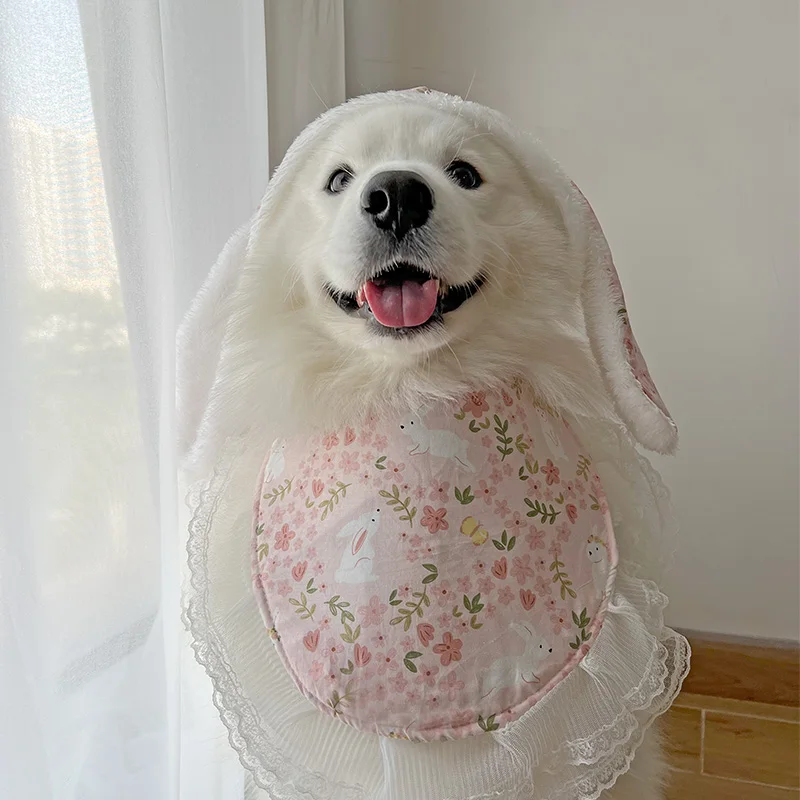 

Dog New Year Clothing Rabbit New Year New Year Samoye Labrador Medium Large Dog Cute