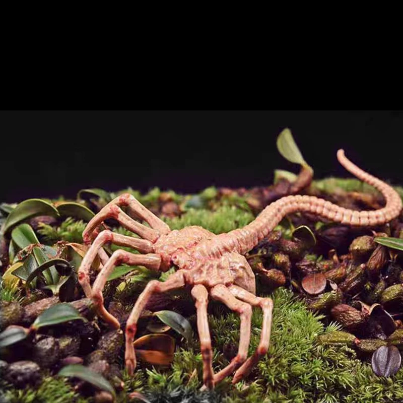 

Фигурка Alien Chestburster Facehugger из пластика