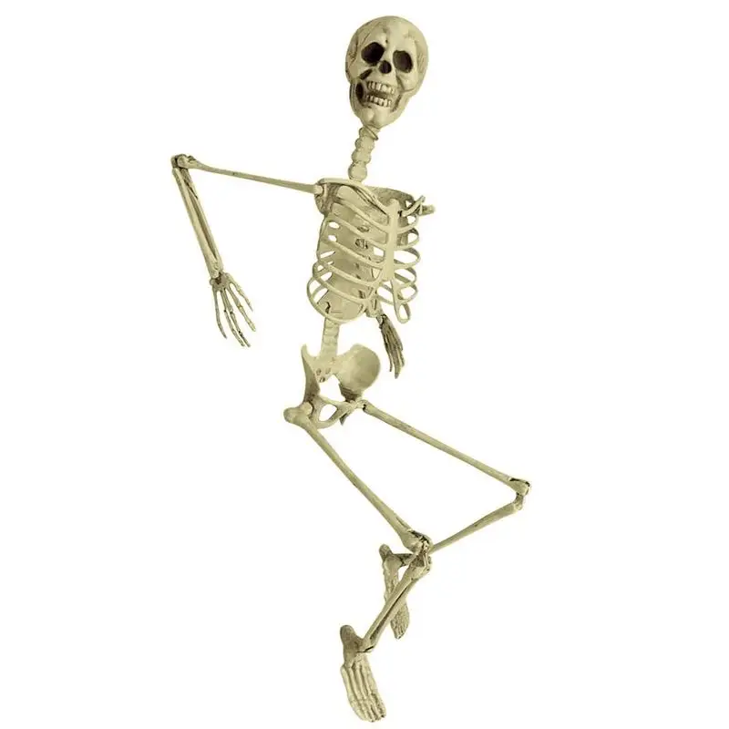 

Halloween Skeleton Decoration Full Body Plastic Posable Animal Skeleton For Halloween Party Hanging Yard Lawn Garden Patio Decor