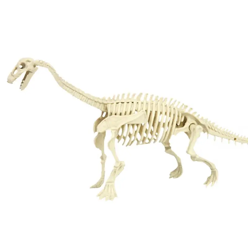 

Dinosaur Excavation Kits For Kids Durable Dino Skeleton Excavation Kit Realistic Dinosaur Model Educational Kids Toys Birthday
