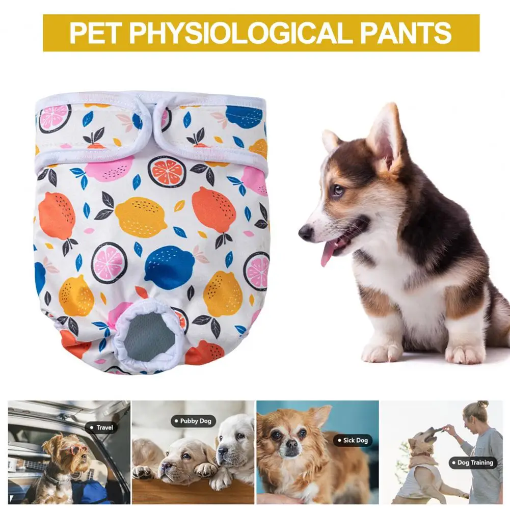 

Dog Diapers Comfortable Stylish Pet Pants High Absorbency Leak-proof Dog Diaper Wraps for Female Dogs Fastener Tape Closure
