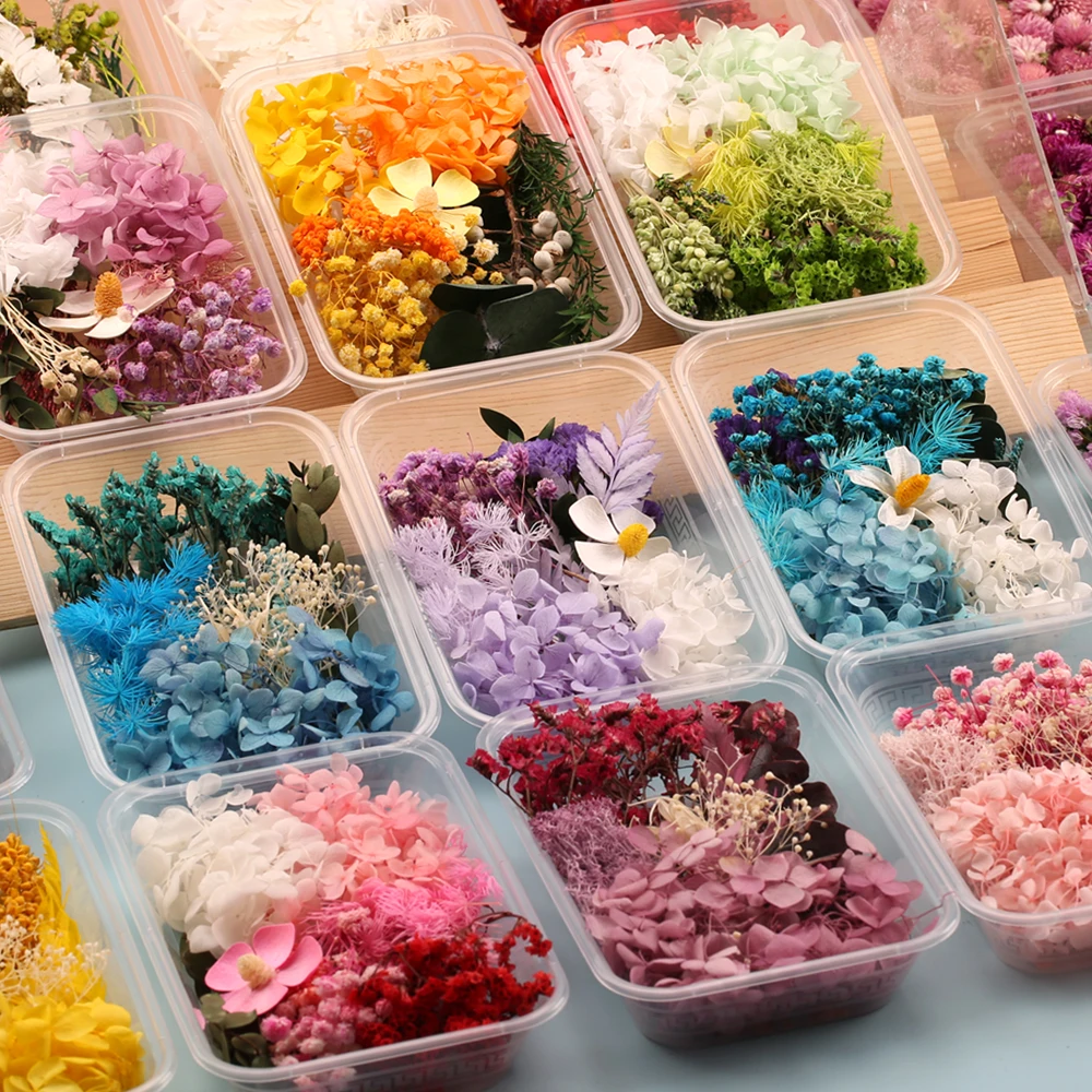 1 Box Natural Real Dried Flowers for Resin Artificial Plants Diy Home Decoration Candle Molds Crafts Tools  Making Accessories