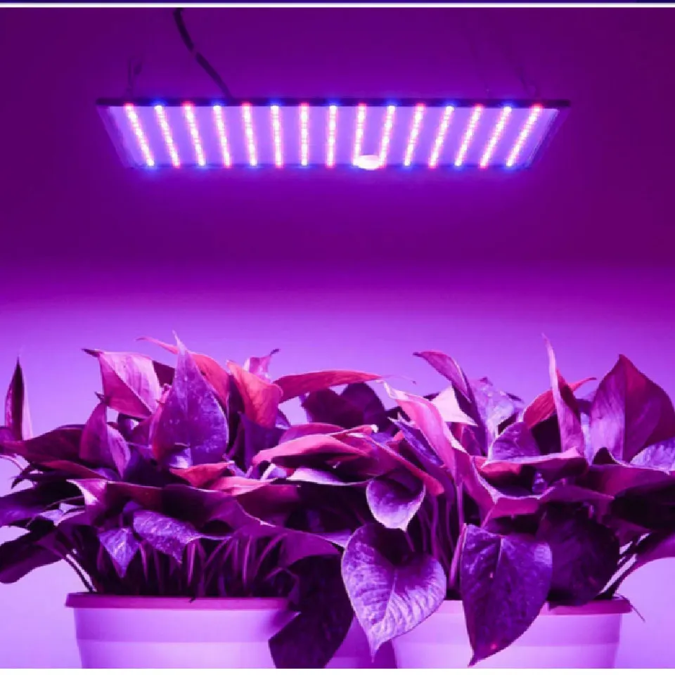 

1000W Ultra-Thin LED Plant Growth Light Greenhouse Square Fill Light Indoor Tent Planting Light Flat Grow Lights Flower Nursery