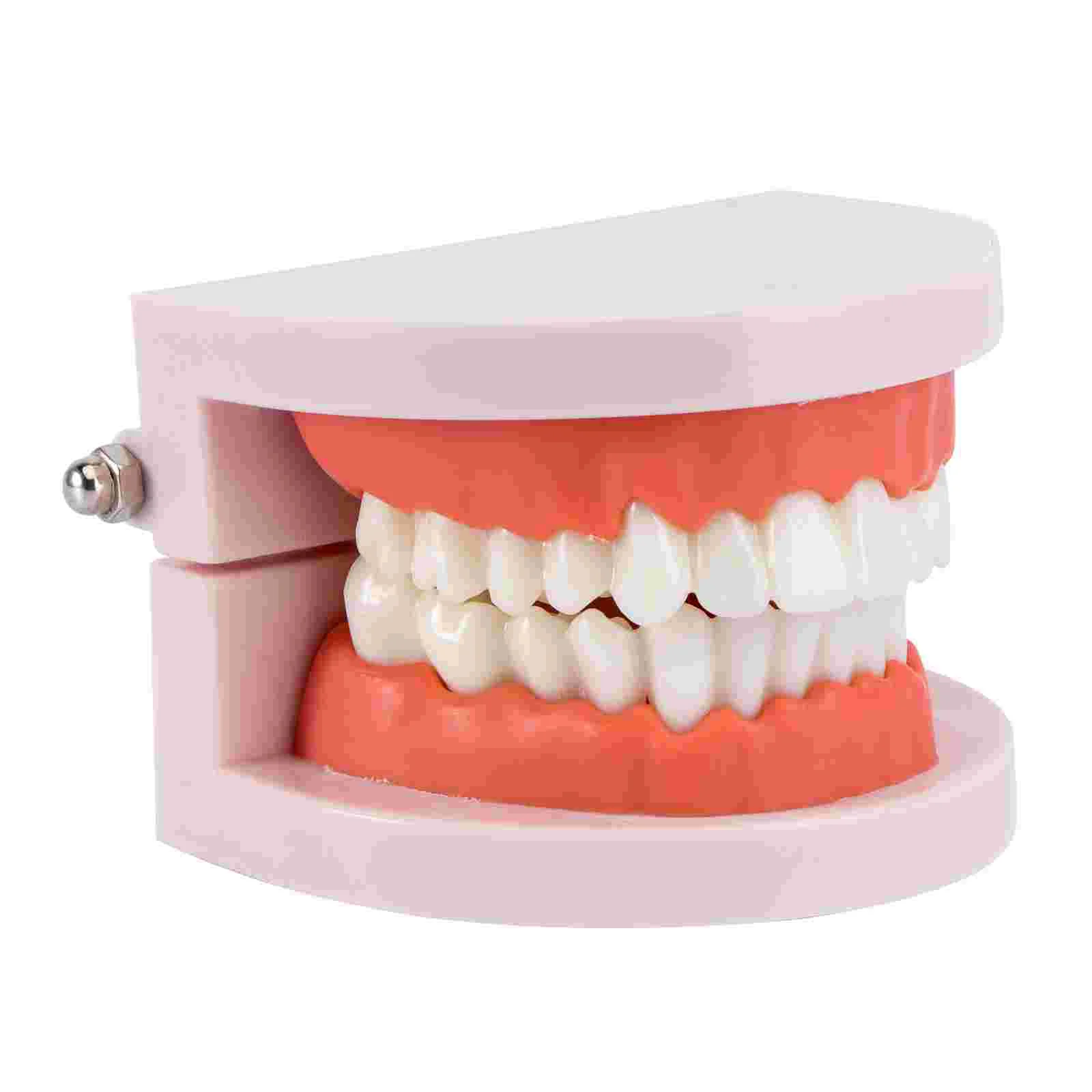 

Модель teethtooth, поддельные модели, Обучающие рот, дети, оральные игрушки, студенты, обучение, стандартные кариесы, дантист, патологические кар...