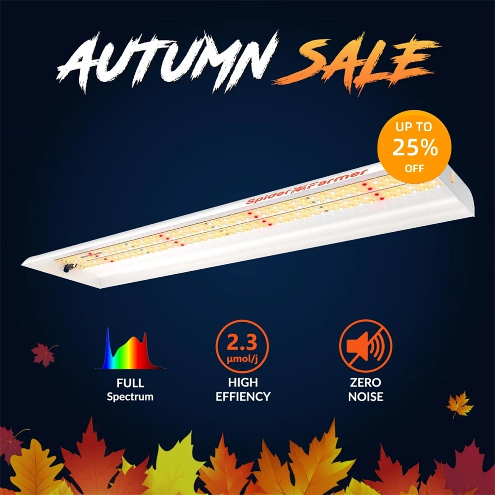 Spider фермер SF300