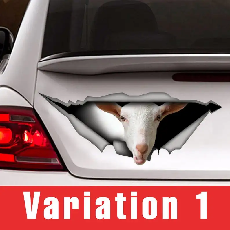 

Saanen goat decal, car decal, farm decal, goat sticker, saanen sticker