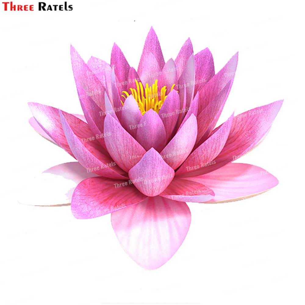 

Three Ratels K554 Nymphaea Siam фиолетовые наклейки на стену для украшения дома гостиной спальни фотоальбом Декор