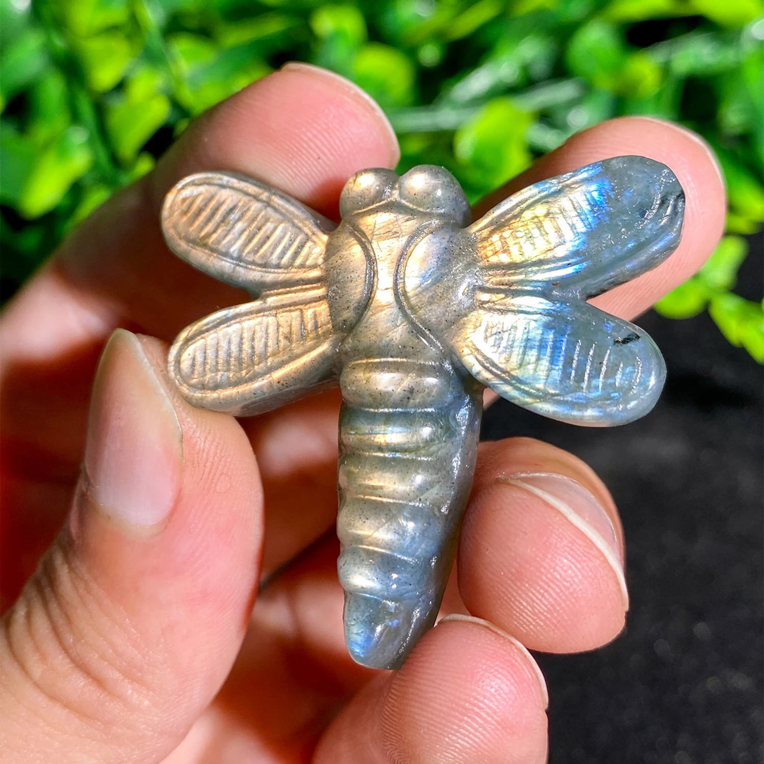 

Лабрадорит, стрекоза, хрусталь