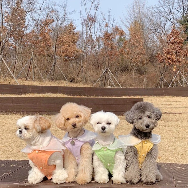 

Thin Pet Clothes Teddy Summer Shirt Bichon Pomeranian Open Shirt Schnauzer Vest Solid Color Dog Clothes XS-XL