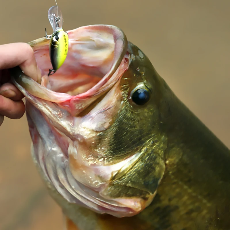 1pcs 3.9cm 4.8g Mini Minnow Wobblers Crank Fishing Lure Artificial Minnow Jerkbait Floating Hrad Lure For Trout Fishing Bait