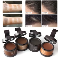 4 colors hair fluffy powder instantly black root cover up natural instant hairline shadow powder hair concealer coverage