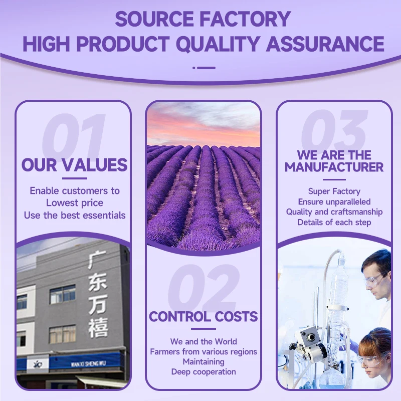 Ароматизатор-увлажнитель для эфирных масел 60 мл