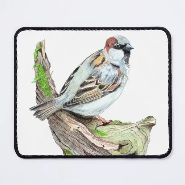 Male Sparrow  Mouse Pad Anime Mat Keyboard PC Gamer Play Mens Desk Printing Mousepad Table Computer Gaming Carpet