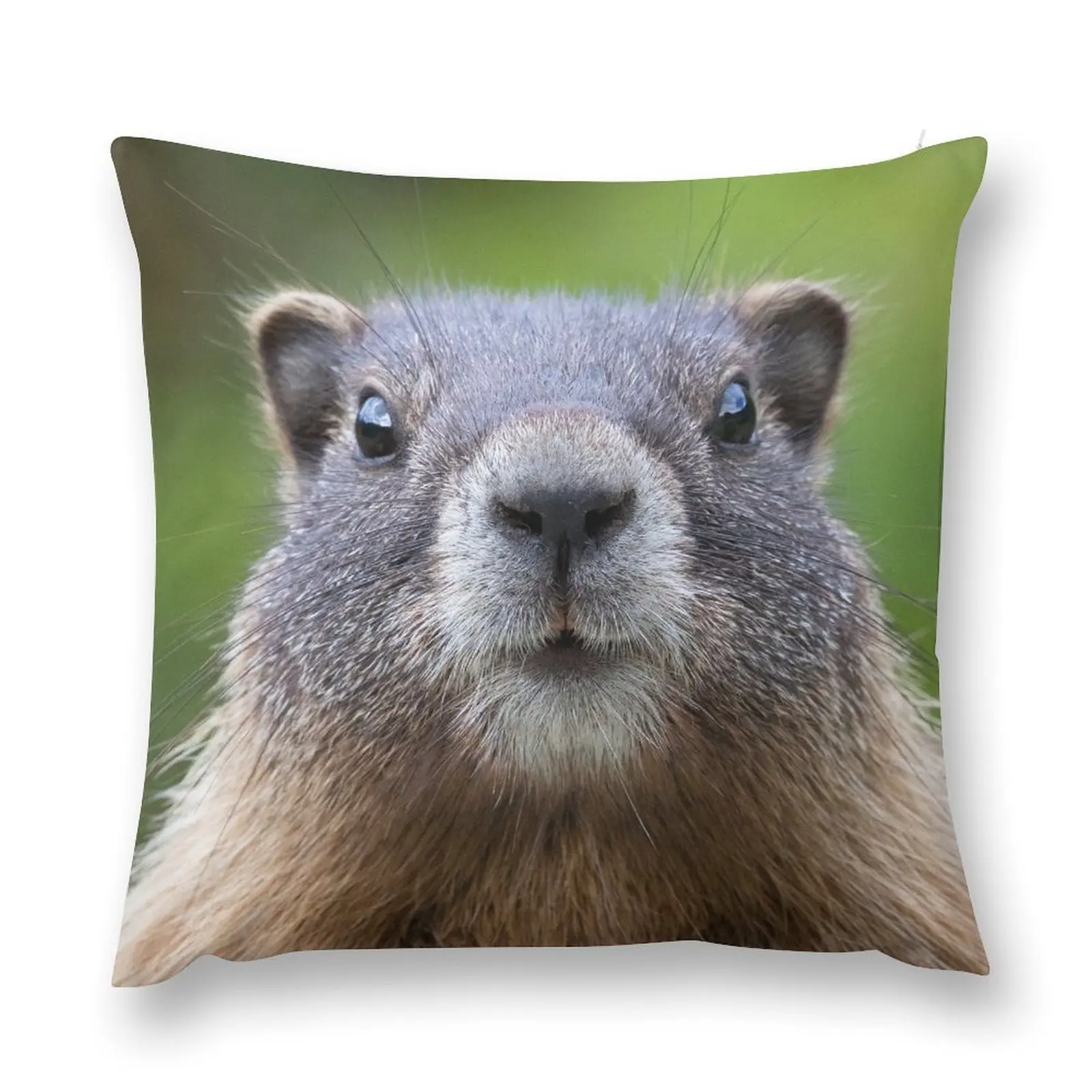 Мраморная декоративная подушка Рождественские декоративные подушки Наволочки