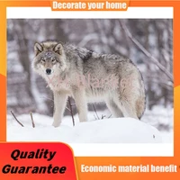 blanket comfort warmth soft plush throw for couch wolf snow close up grassland throw blanket for sofa huggle blanket store