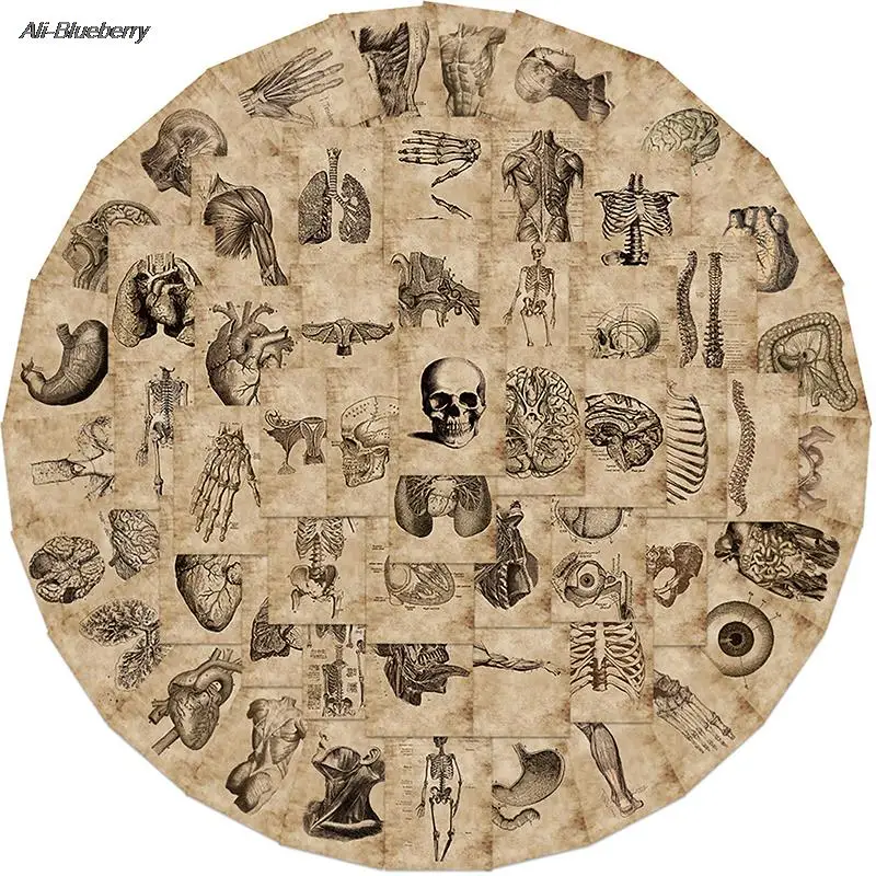 

56Pcs Body Stickers Anatomy Physiology Body Structure Poster Stickers Skeleton Decals Room Medical Decoration Vintage Sticker