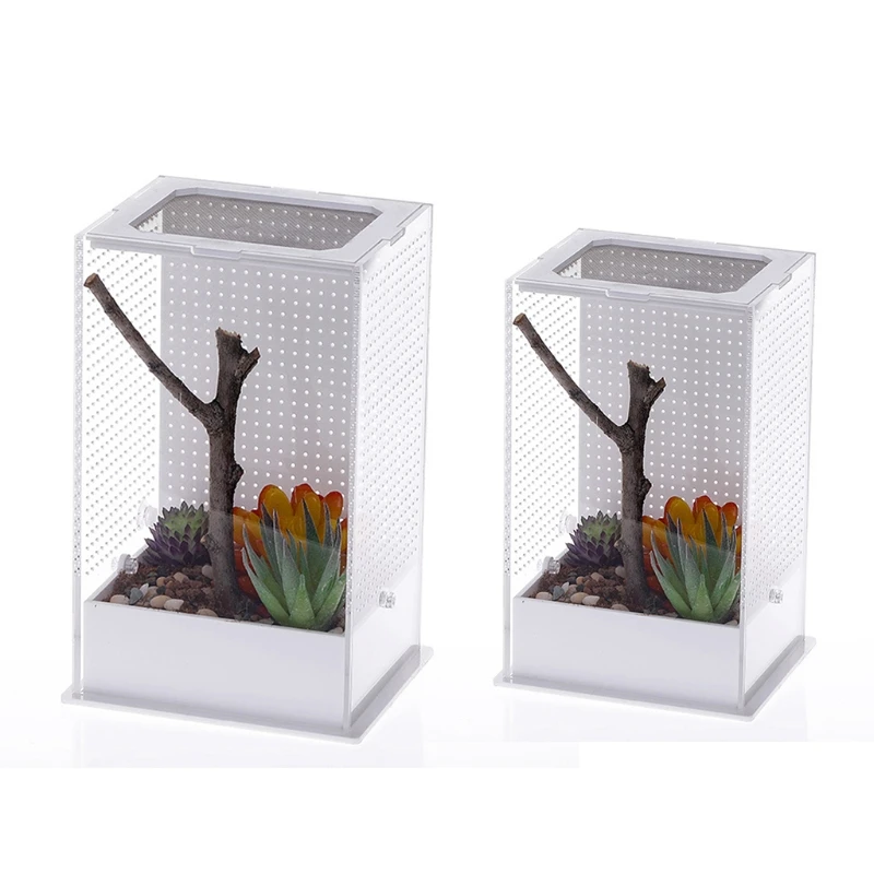 

Reptile Feeding Box Clear Terrarium Containers for Spider Lizard Beetle Mantis