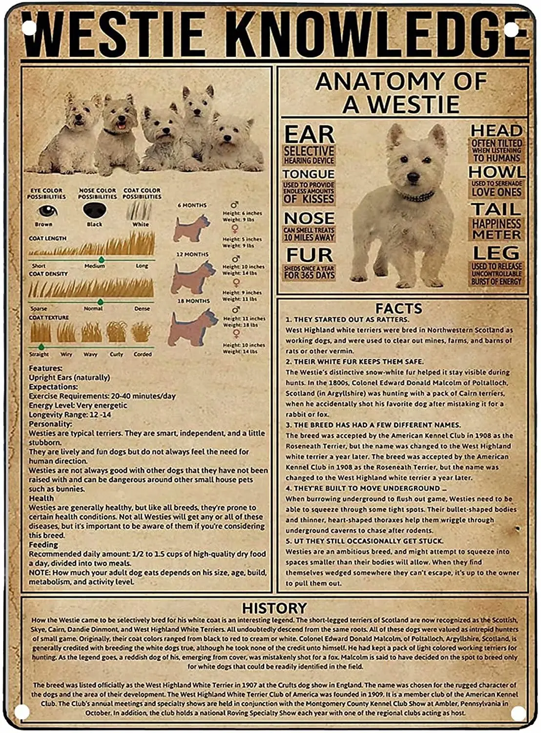 

Знания по Westie, художественный Настенный декор, металлические жестяные знаки, анатомия Westie, печатный плакат, развлекательный бар, кафе, гости...