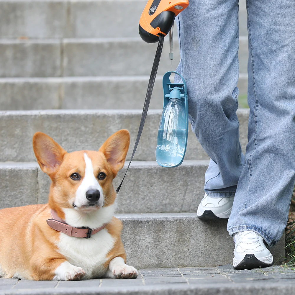 

Foldable Pet Water Bottle Dog Portable Cup Drinking Water Feeder Pet Accompanying Cup Water Bottle Outdoor Walking Pet Supplies