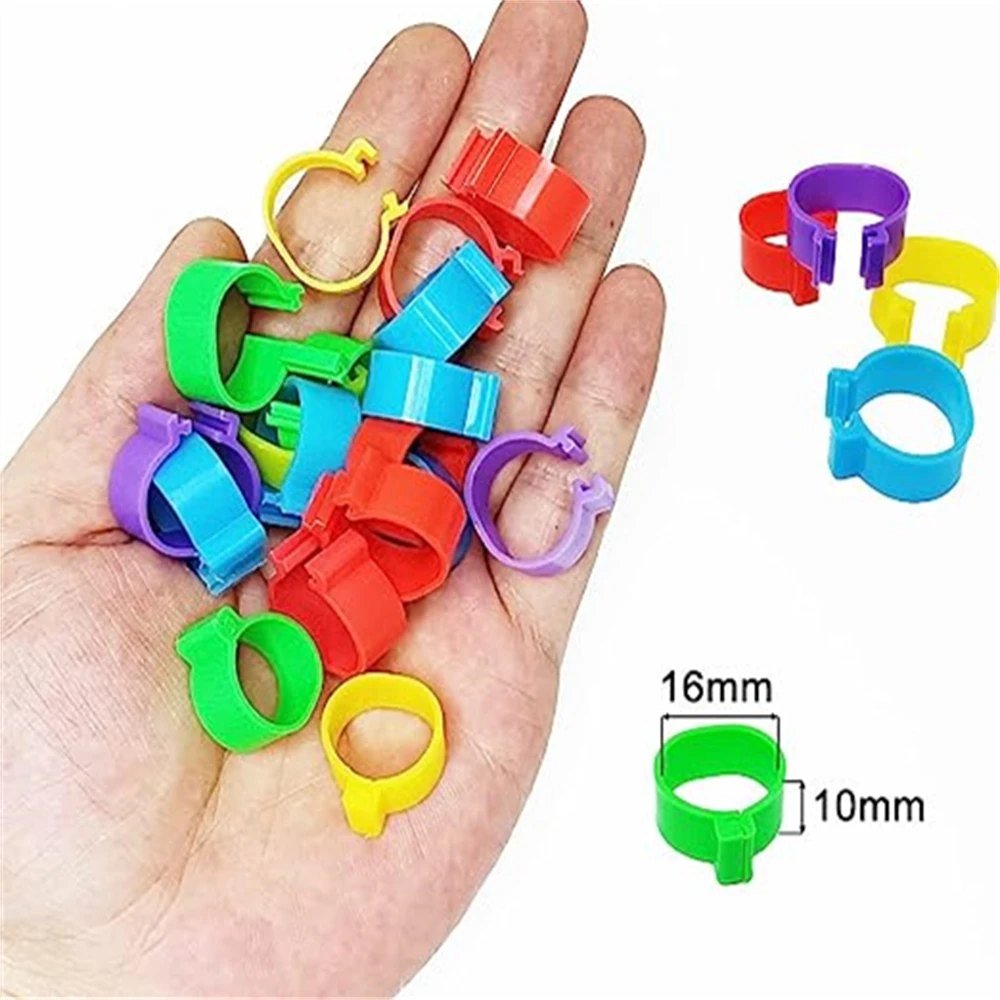 

8 Colors 16mm Chick foot ring Poultry Snap Buckle type Clip rings Farm equipment Chicken Duck Pigeon Identification ring 100 Pcs