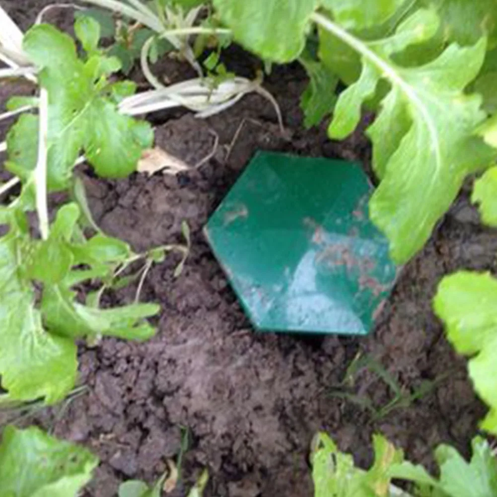 

1pc Reusable Bait Station Garden Pest Catch Trap Eco-friendly Safe Home Gardening Farm Pest Catch Trap Simple To Use
