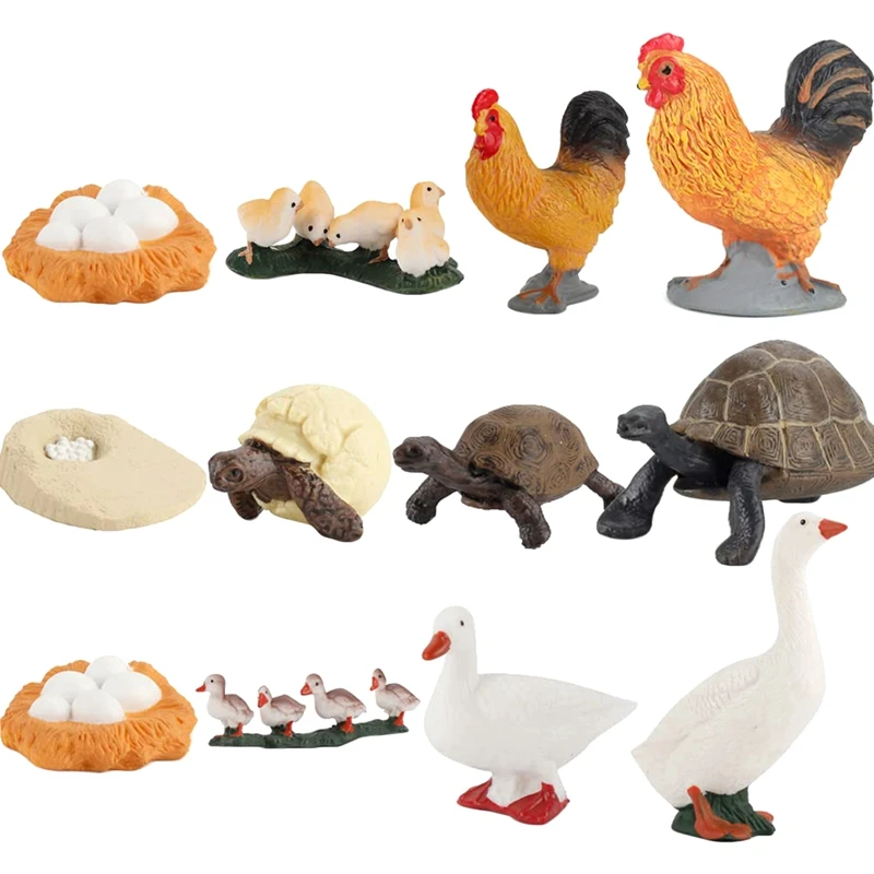 

12 Pieces Life Cycle Figures of Duck Turtle Rooster Figurines Toy Kit Simulation Animal Growth Cycle Models Kids Toys