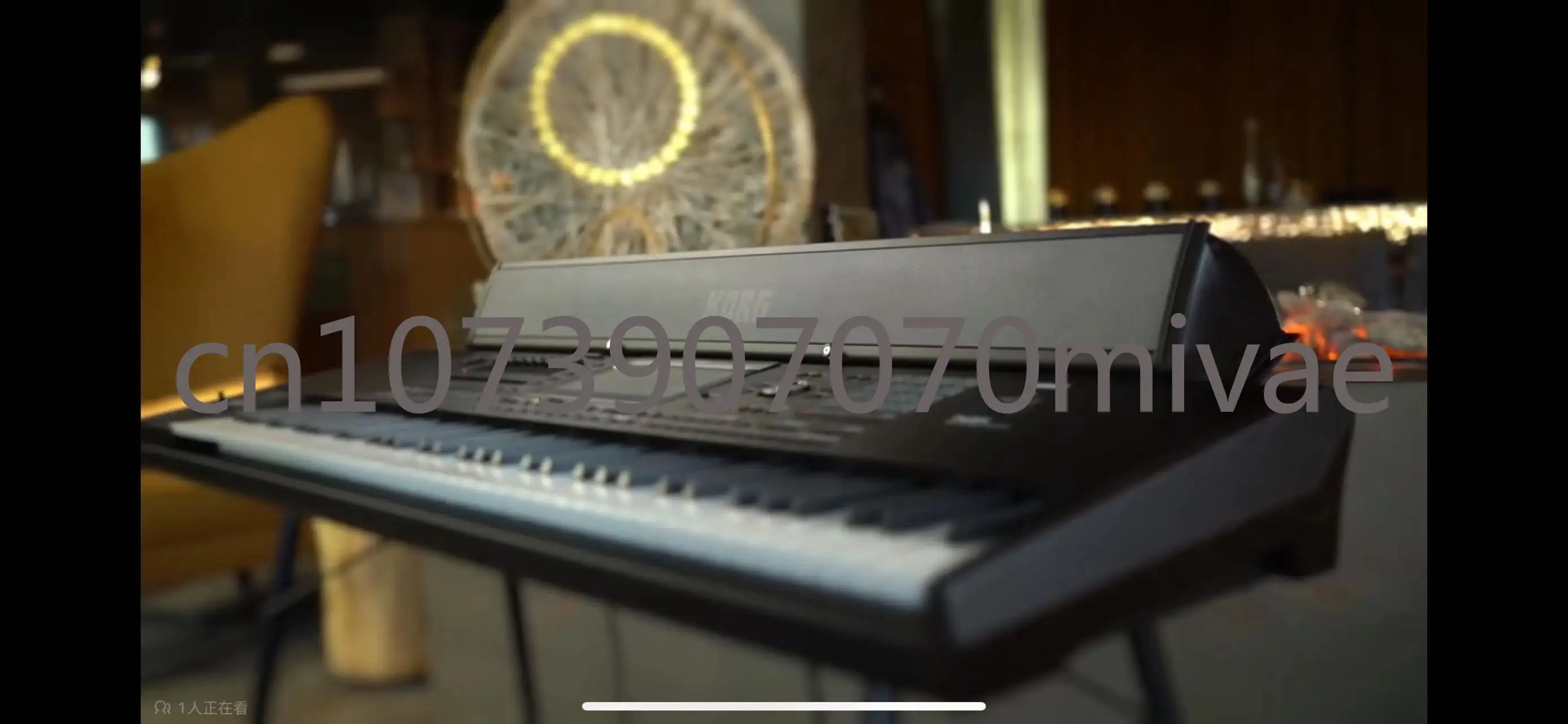 Динамик KORG PaAS MK2 (Совместимость с Pa5X Pa4X Pa3X)