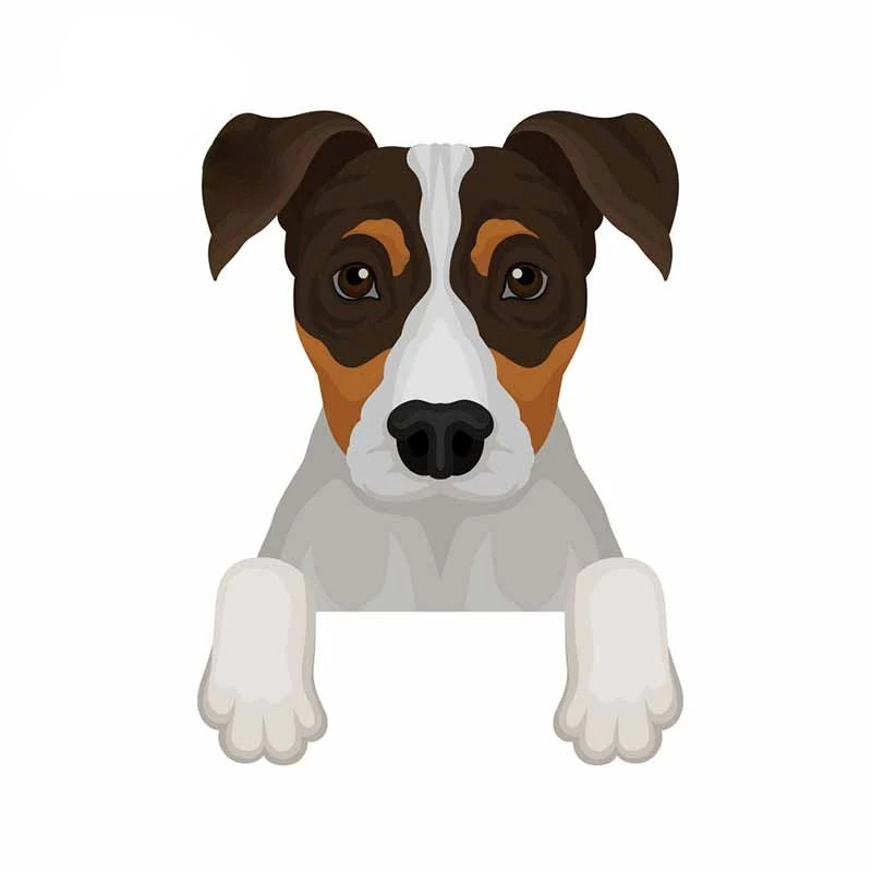 

Dog Car Sticker DIY Fashion Vinyl Car Wrap Suitable for Fold Vinyl Material Scratch-proof Sunscreen Scratch-Proof Sticker Kk13cm