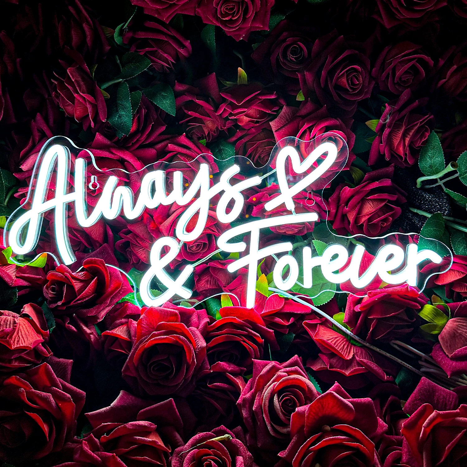

Неоновая вывеска DUTRIEUX Always & Forever
