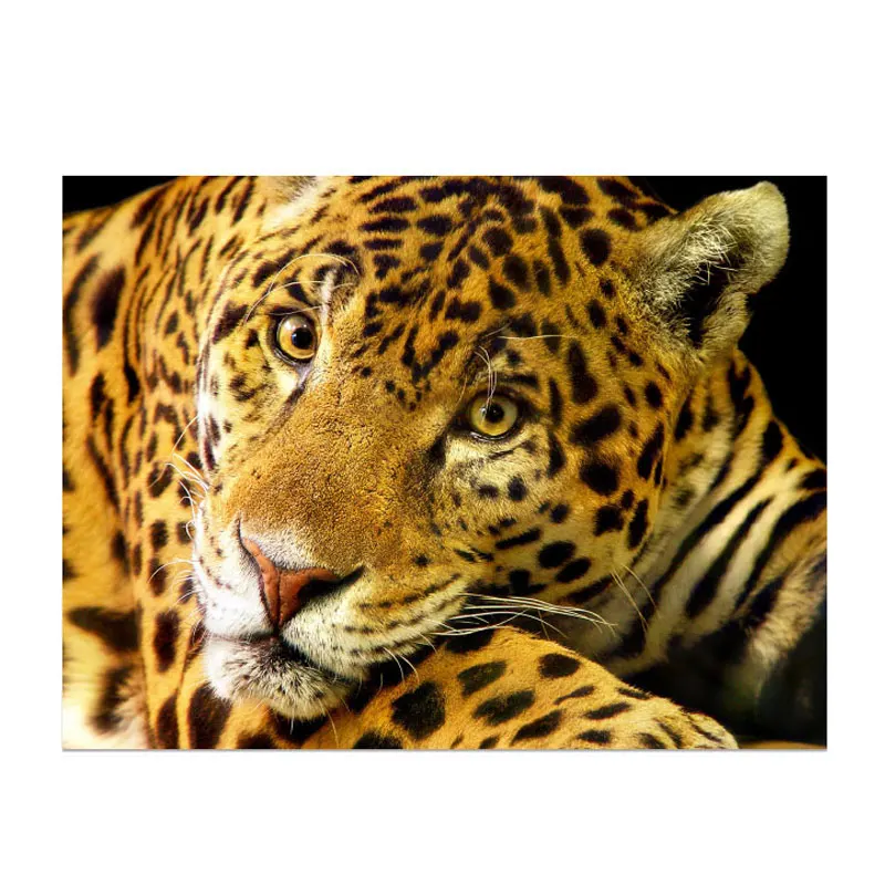 

Iron on Cool Leopard Patches on Clothes Man's T-shirt Vinyl Heat Transfers Stickers for Clothing Thermoadhesive Patch Appliques
