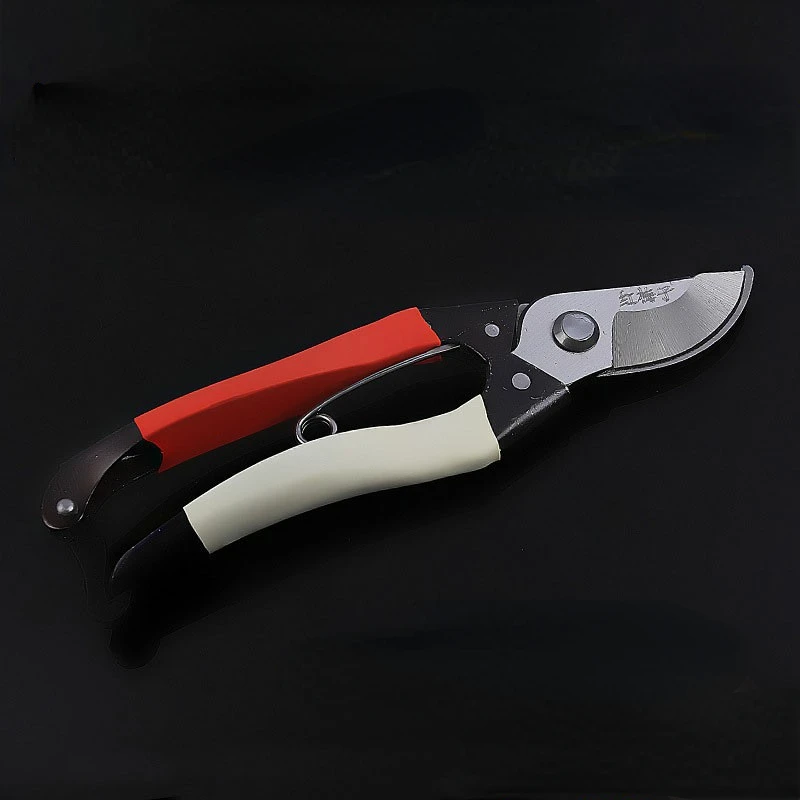 

Civil Household Scissors Stainless Steel Garden Scissors Horticultural Pruning Scissors Fruit Cutting Tools Gardening Tools