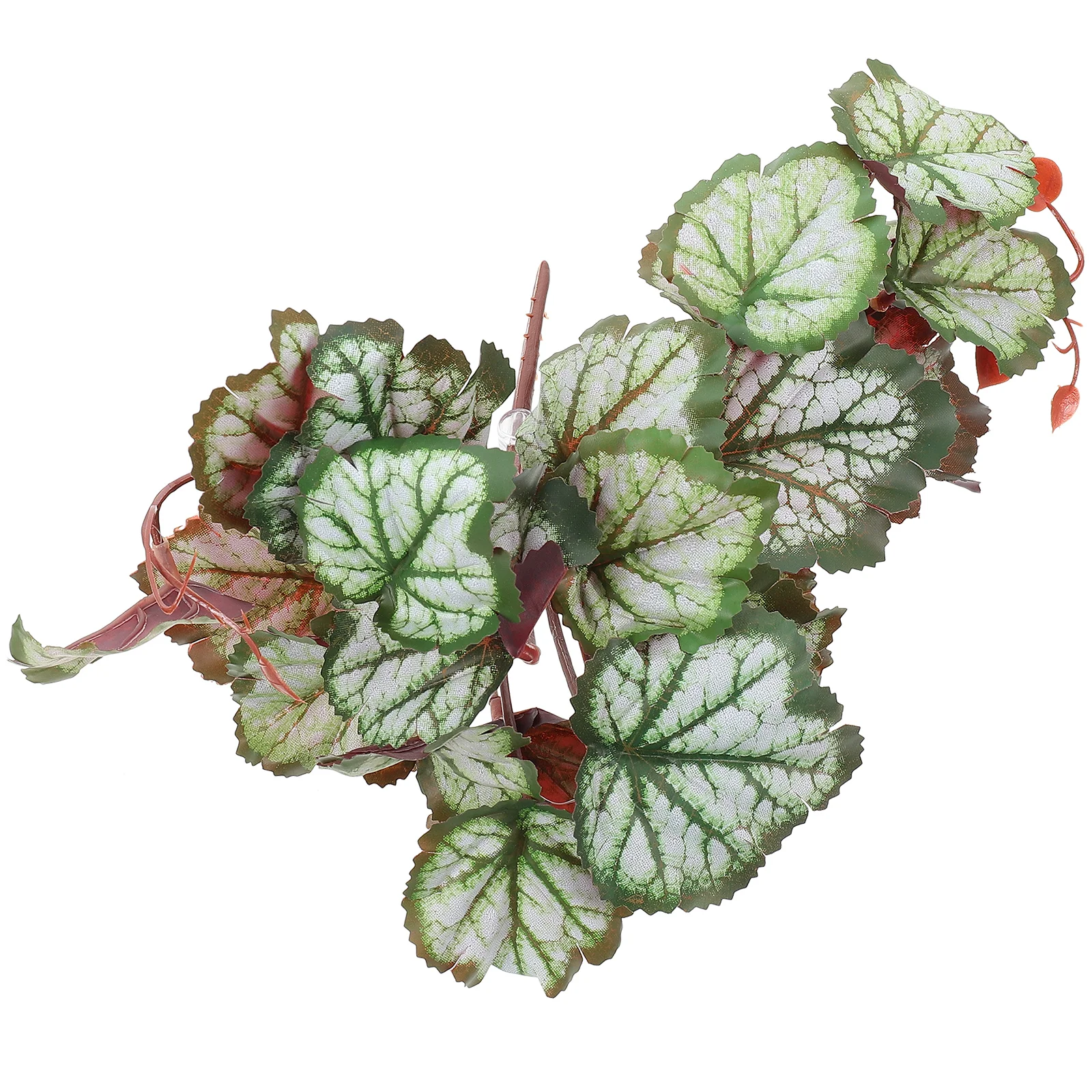 

Reptile Plants Terrarium Decorative Aquarium Tank for Tank Decoration Aquarium