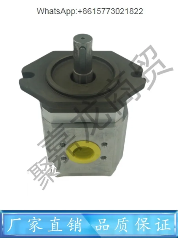 Немецкий Шестеренчатый насос ECKERLE EIPC3-040/050/064/RA23-10 в масляном насосе для литья под