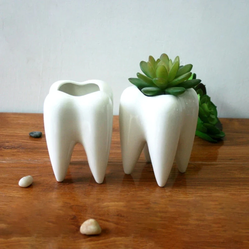 

Modern Decor Cute Succulent Cactus Flower Pot Creativity Tooth Decorative Vase Tooth shaped Ceramic Flower Pot