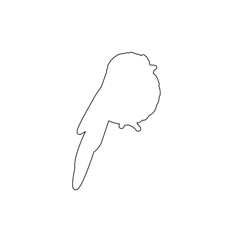 Пернатые друзья мини-птицы новинка 2022 прозрачный штамп для скрапбукинга