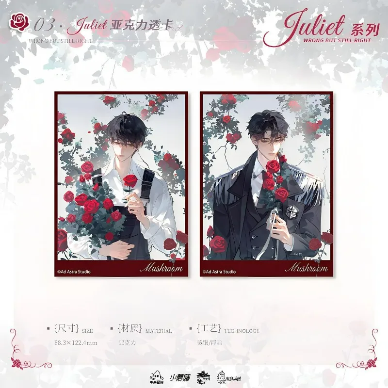 

Набор акриловых карт Lu Feng, серия Zhe Wrong But Still Right Sunset