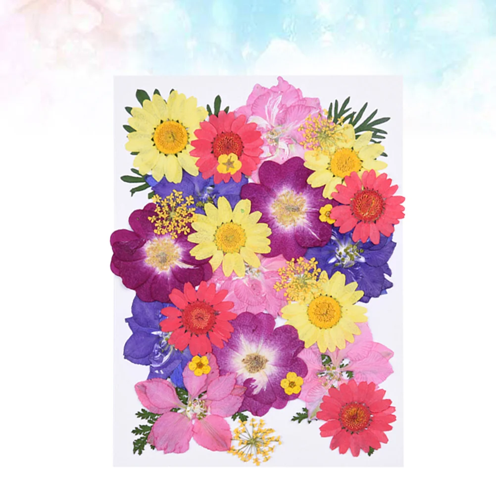 

Flowers Driedflower Natural Preserved Dry Arrangements Artificial Table Bouquets Wedding Decoration Bouquet Nailsnail Floral
