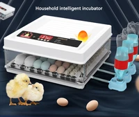 household intelligent incubator for chickenduckgoosepigeonquail egg hatching 64pcs automatic egg turningwater replenishment
