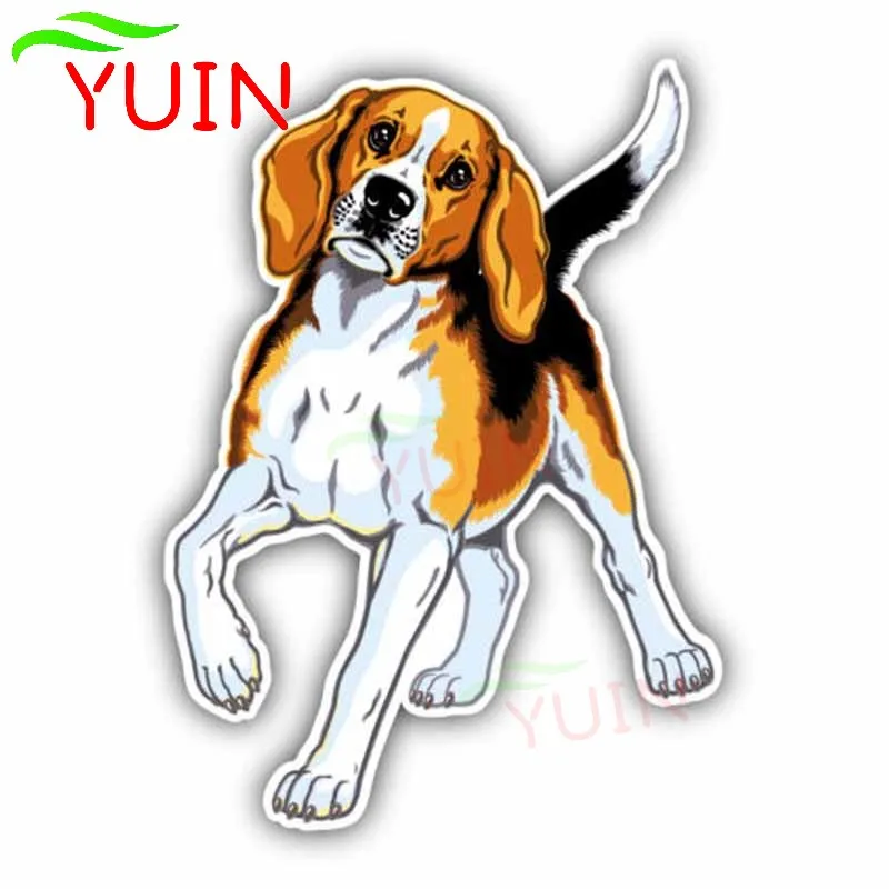

Cute Beagle Breed Dog Creative Car Sticker Personality Cars Accessories PVC Material Graphic Decoration Waterproof Decal 15*11cm