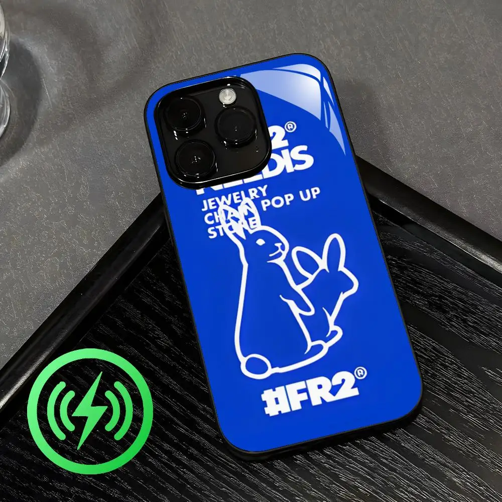 Фото Горячая новинка: Стеклянный магнитный чехол F-Fxxking R-Rab-bits LOOG для iPhone 17 Air, 16, 15, 14, 13, 12, 11 Plus, Mini, Pro, Max №3