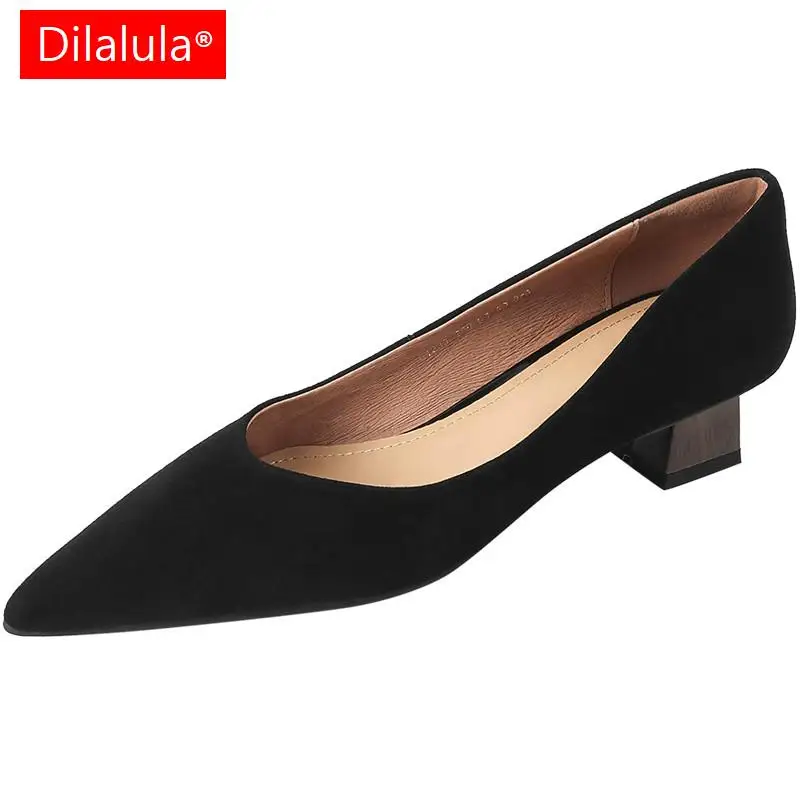 

Dilalula Women Pumps Quality Kid Suede Leather Pointed Toe Low Heels Shoes Woman Spring Summer Office Ladies Fashion Concise