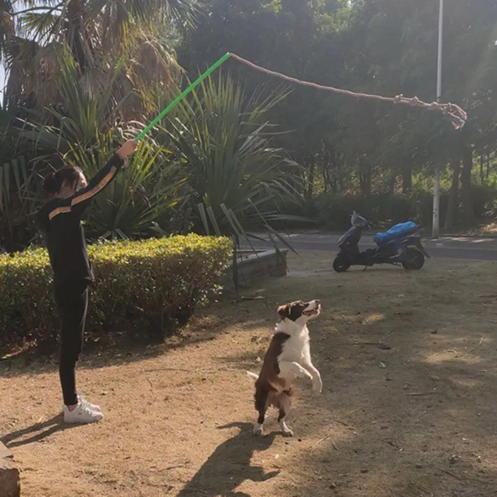 

Dog Stick Toy Tear-resistant Lightweight Puppy Teaser Wand Flirt Stick Good Durability Cord Dog Teaser Wand Outdoor Exercise