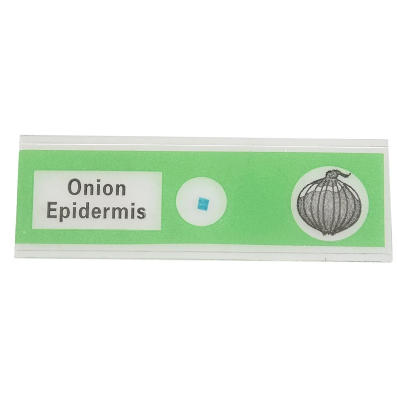 

HOT 48Pcs Kids Plastic Prepared Microscope Slides Of Animals Insects Plants Flowers Sample Specimens For Stereo Microscopes