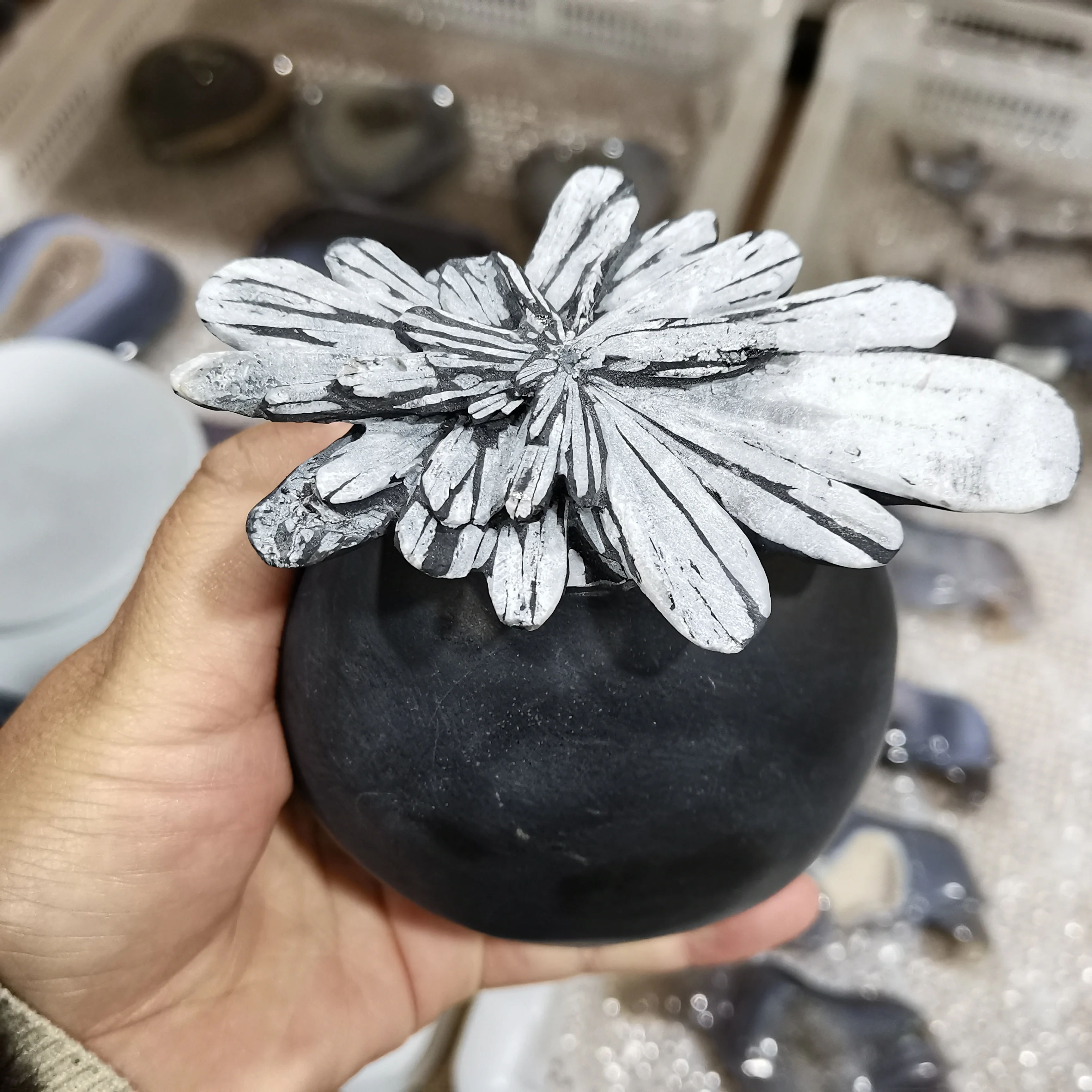 

Редкий красивый натуральный камень хризантем, Хрустальный драгоценный камень, волшебник, духовная энергия, лечение, медитация, восстанавливающий богатство рейки