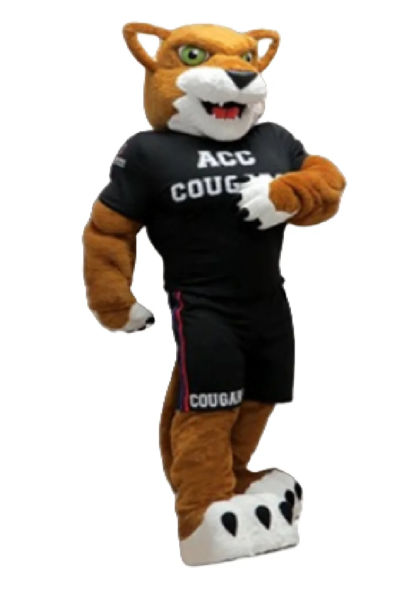 Костюм талисмана пумы колледжа дикий кот Бобcat необычный костюм на заказ