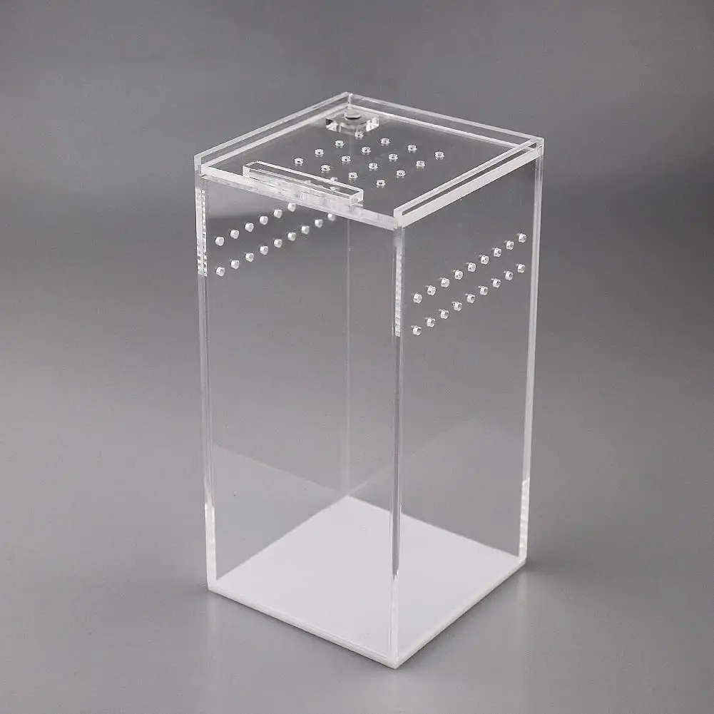 Ящик для разведения рептилий места домашнего животного эскимо акриловый чехол