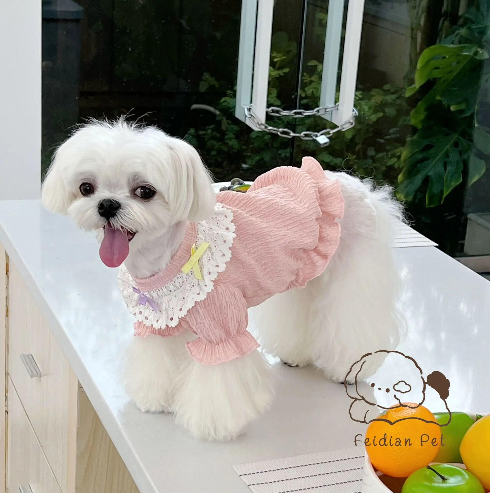 

Summer puppy dress cat clothes lace princess cat dress breathable teddy bear sling pet clothes