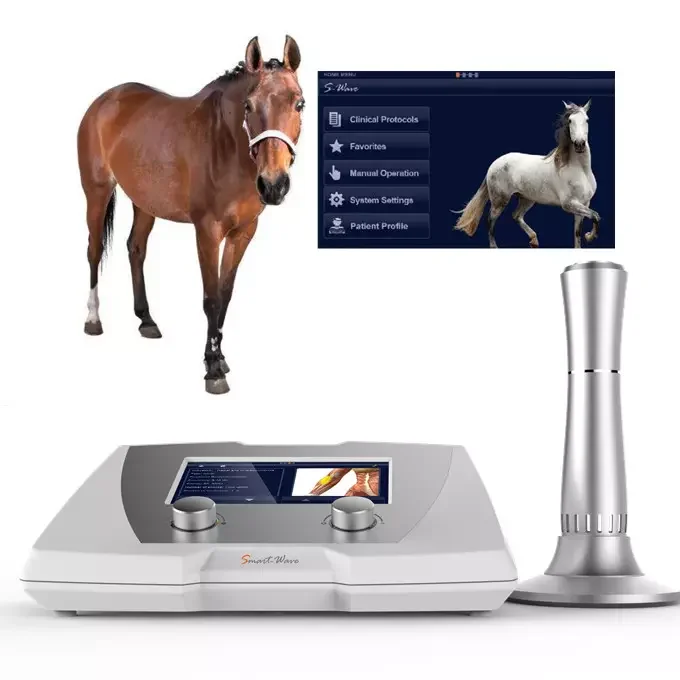 

Acoustic Wave for horse dog veterinary application